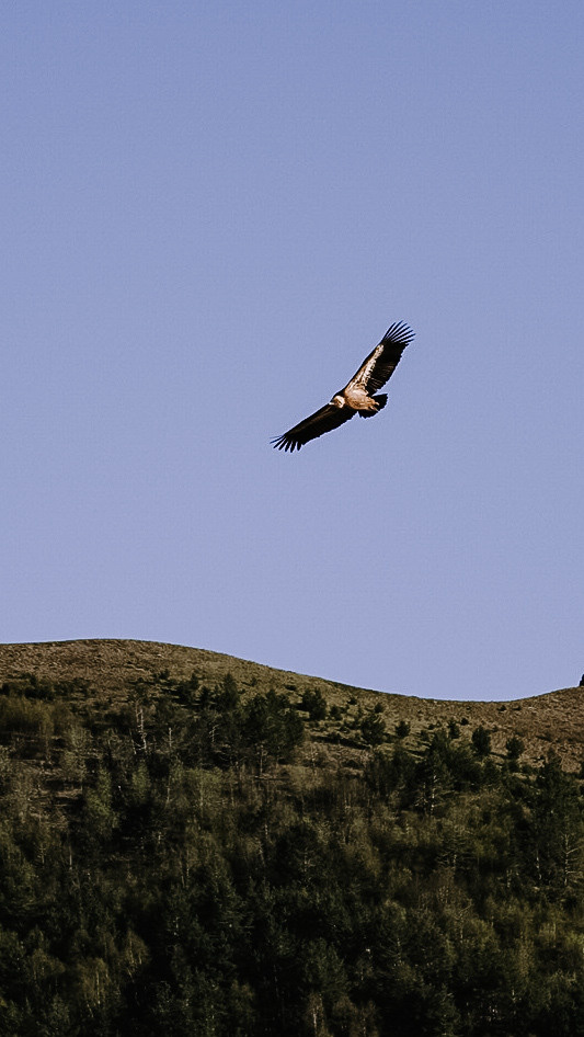 Дагестан 2021. Человек с фотокамерой