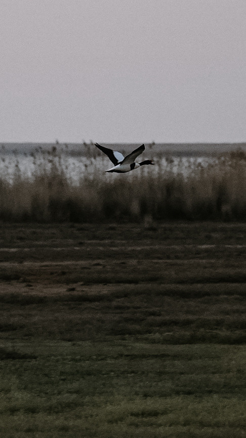 Дагестан 2021. Человек с фотокамерой