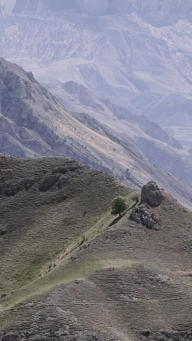 Дагестан 2021. Человек с фотокамерой