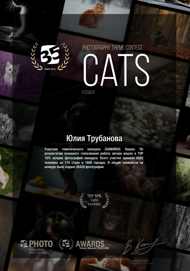 Юлия Трубанова, репортаж Симферополь, Крым