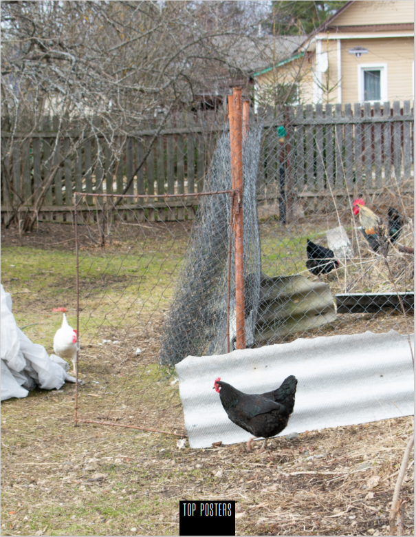 Publication in TOP POSTERS Magazine Nature, Issue 1776, May of 2023. Natalia Carney — Photographer, Model, Blogger