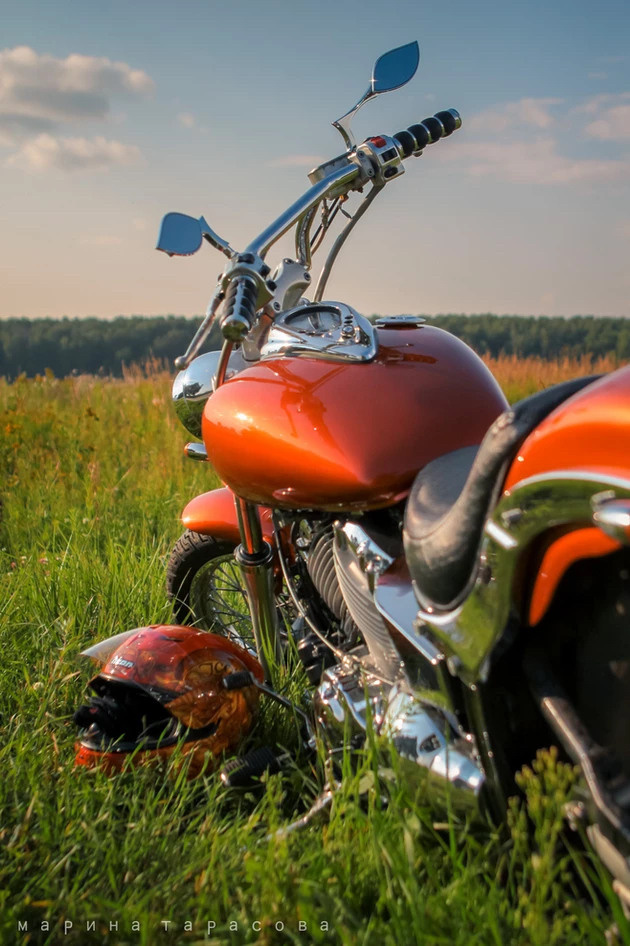 Фотограф Марина Тарасова