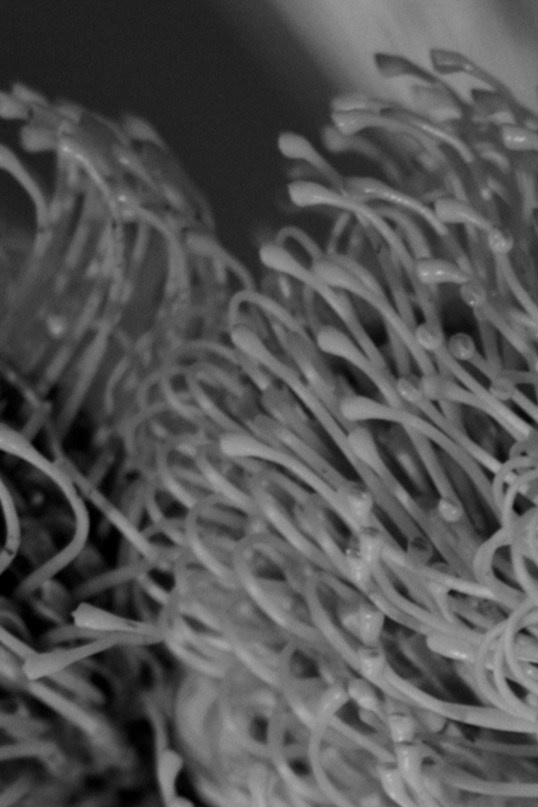 Данил & Диана