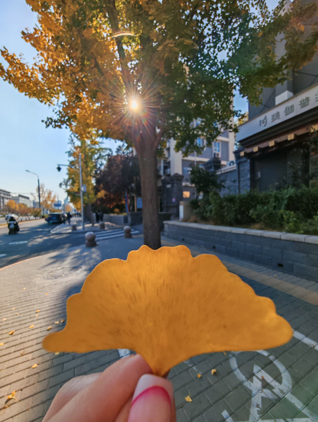 В гости к пандам и хурме: встречаем осень в древних деревнях провинции Фуцзянь
