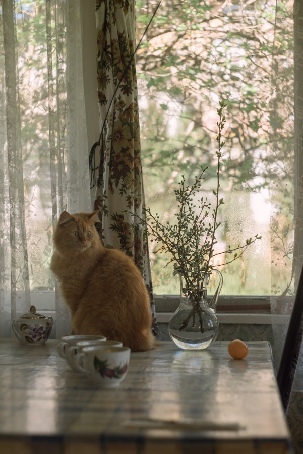 Summer Houses. Tatiana Sikorskaya
