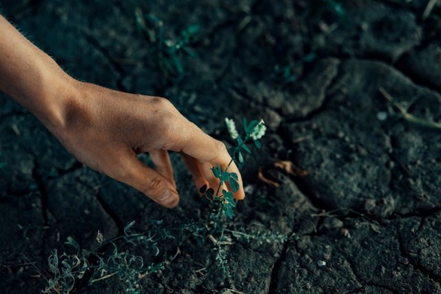 Женский портрет. Фотограф Мартыненко Екатерина. Всеволожск. Санкт-Петербург и ЛО