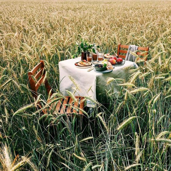 Поле. Фотограф в Екатеринбурге Юлия Ташлыцкая