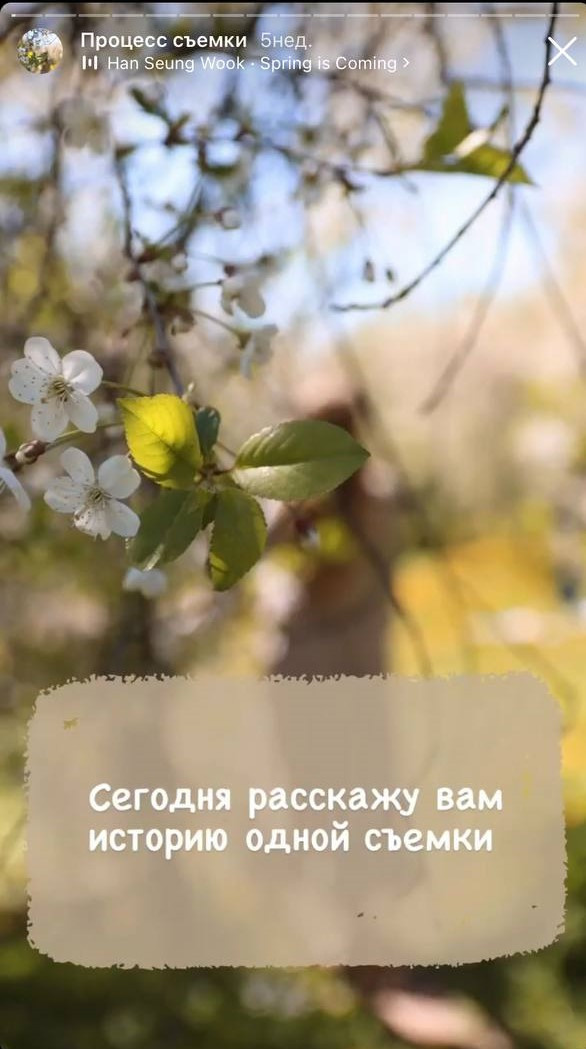 История одной съемки. Женский и семейный фотограф в Москве Наташа Чаша