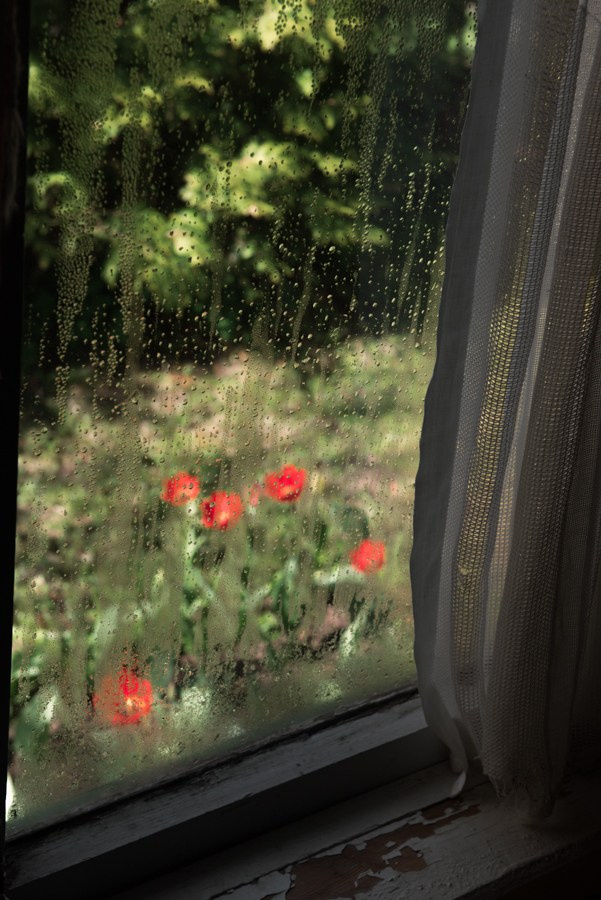 Summer Houses. Tatiana Sikorskaya