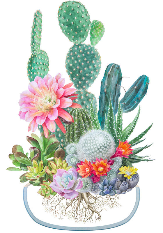 Иллюстрации для удобрений. Ручка Алена — ботанический художник, дизайнер, фотограф