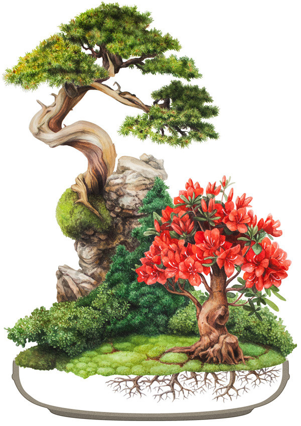 Иллюстрации для удобрений. Ручка Алена — ботанический художник, дизайнер, фотограф