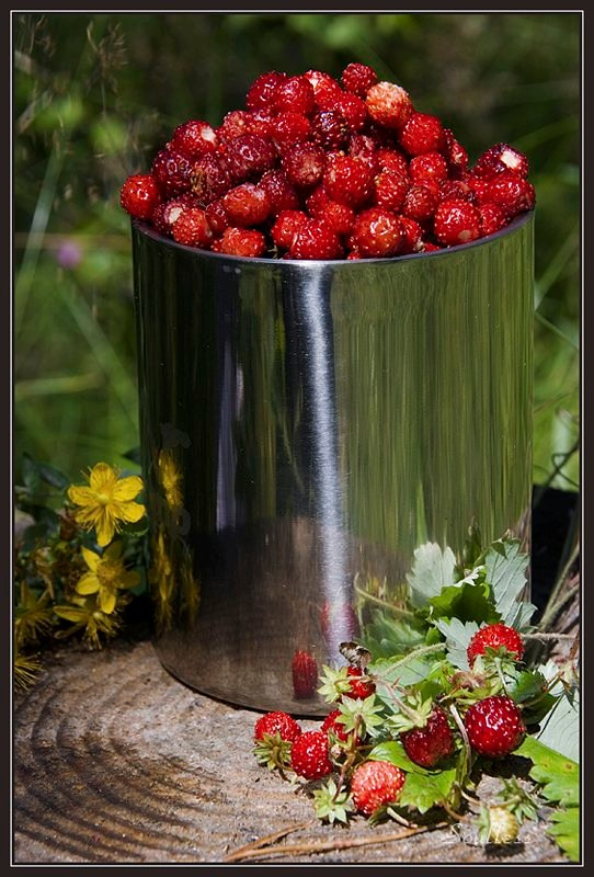 Infinity. Фотохроника для следующих поколений