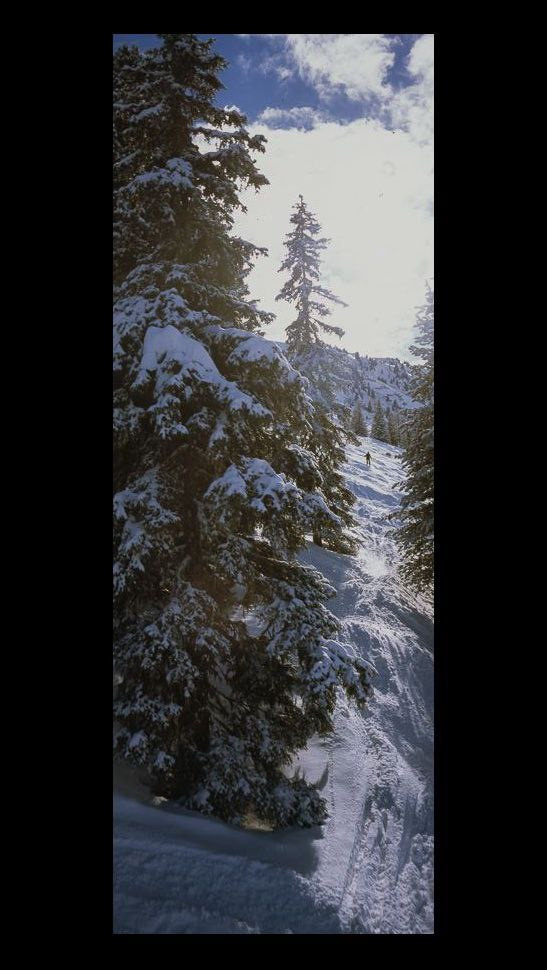 Панорамы. Фотохудожник Александр Мец