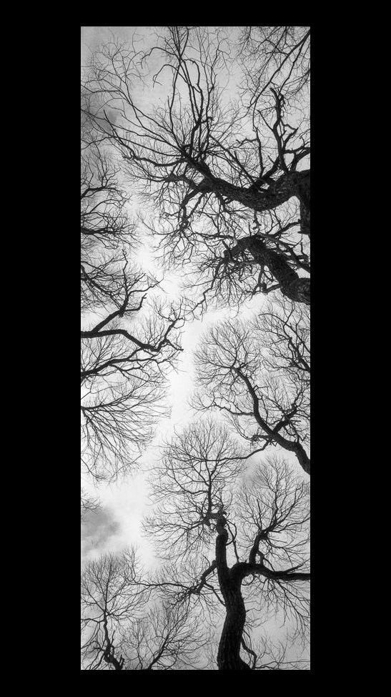 Панорамы. Фотохудожник Александр Мец