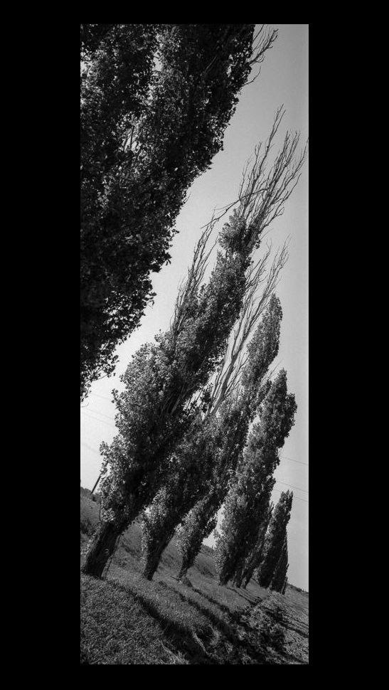 Панорамы. Фотохудожник Александр Мец