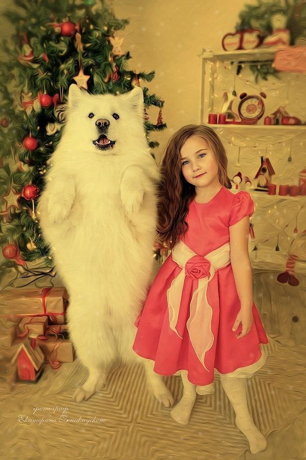 Новогодняя. Фотограф в Красноярске Екатерина Беникаускене