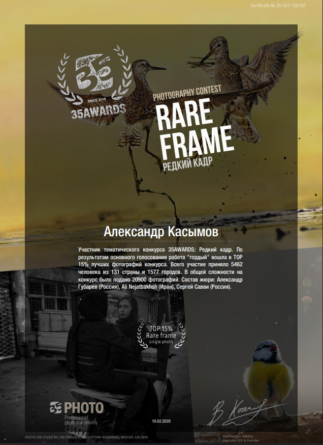 Номинации и Награды. Ню Фотограф Александр Касымов Москва, фотосессии, Химки фотограф