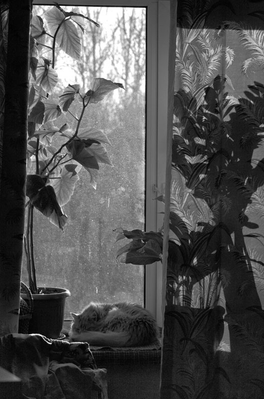 На пороге. On the doorstep. Фотограф Ира Соколова Санкт-Петербург