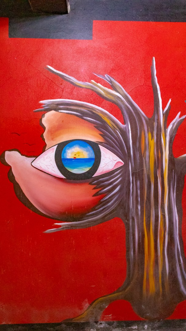 2019 03 Мадейра. Фотографии