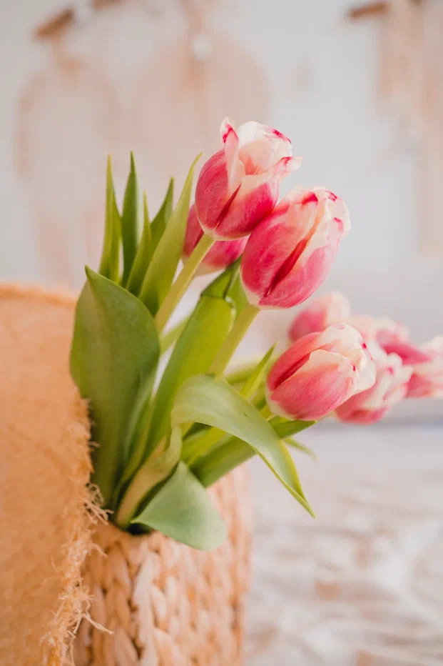 Мастер по Йоге