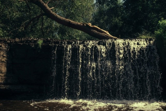 Женский портрет. Фотограф Мартыненко Екатерина. Всеволожск. Санкт-Петербург и ЛО