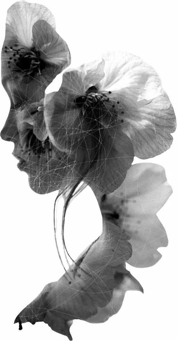 Концептуальный проект «ПЛЮЩ»