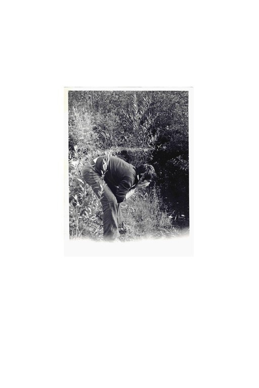 The city of white birches. Vita Stroganova