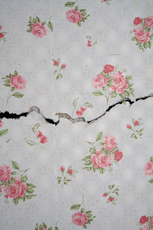 The city of white birches. Vita Stroganova