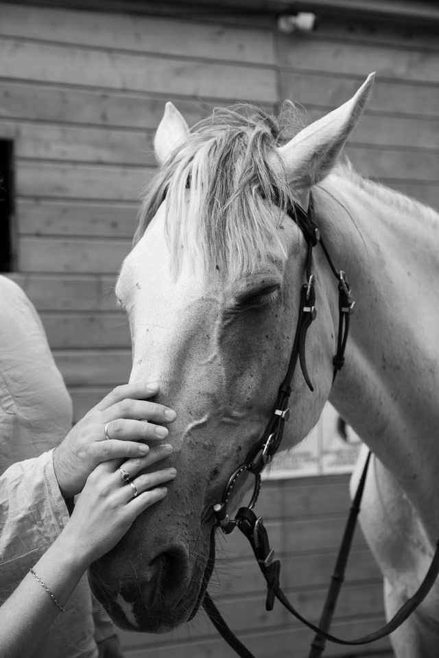 Love story. Полина Термянен — фотограф