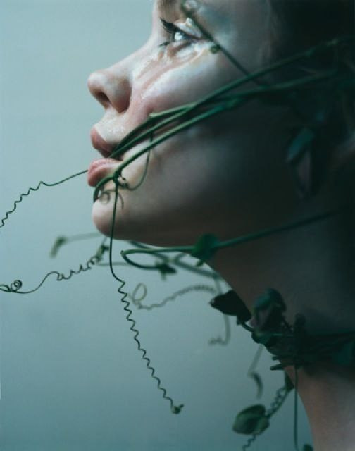 Концептуальный проект «ПЛЮЩ»