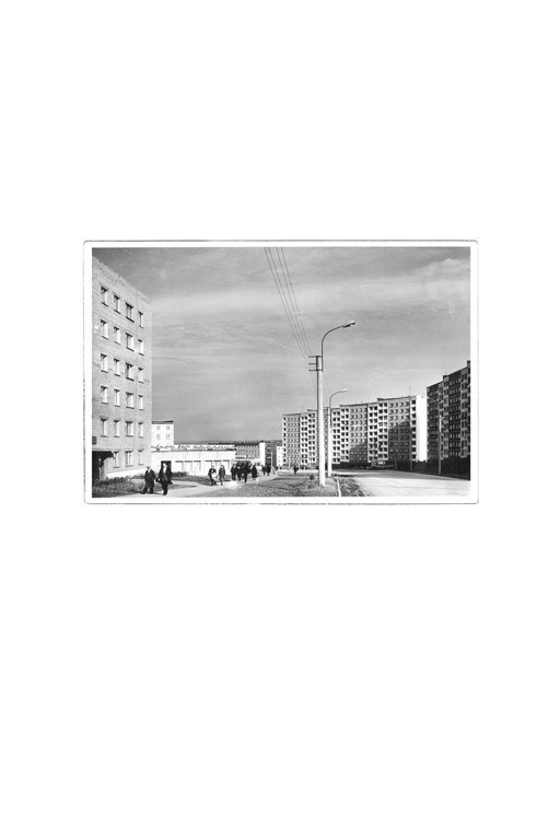 The city of white birches. Vita Stroganova