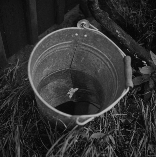 Вдохновение недели — фотограф Nathalie Ericson. Private image