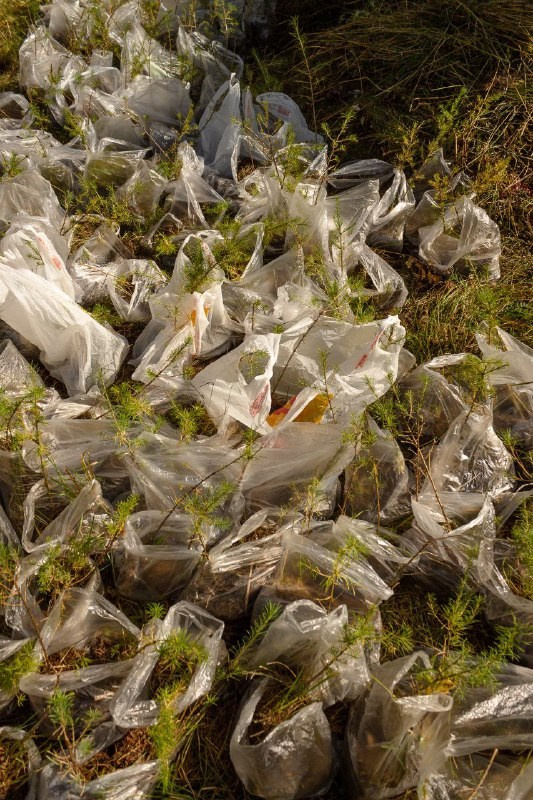 Международный лесоклиматический форум «Экосистема Байкала — 2025» / Подари Планете Жизнь / 5 дней. Борщевская Елизавета / фотограф Иркутск