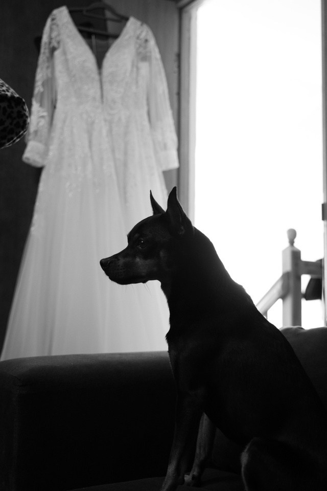 Илья & Ксения. Olya Posnimay