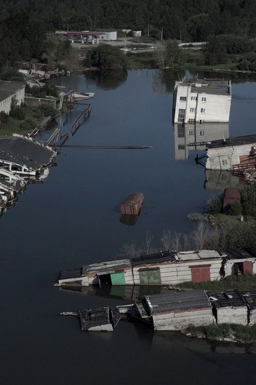 The city of white birches. Vita Stroganova