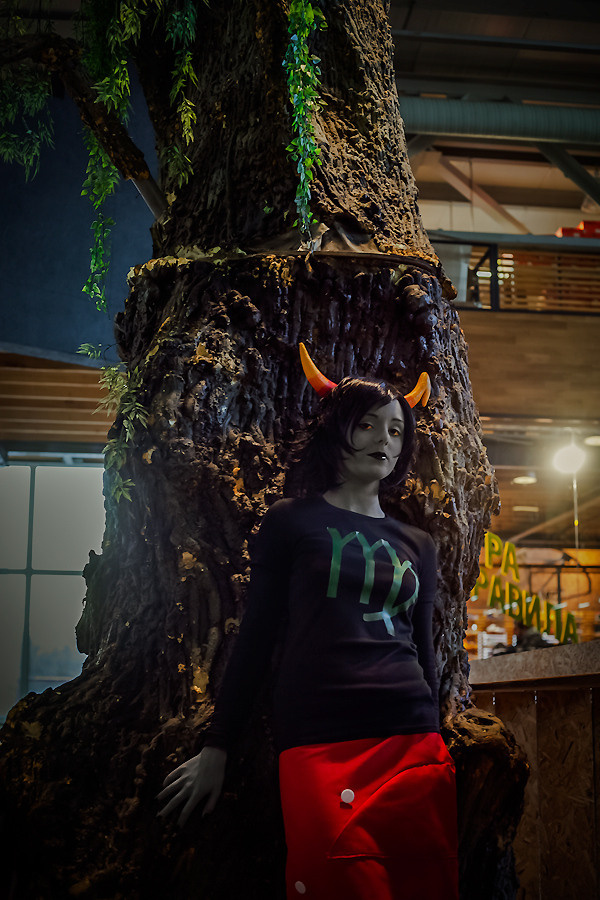 Homestuck [Test] 19.01.2014. Постановочная съемка в Москве