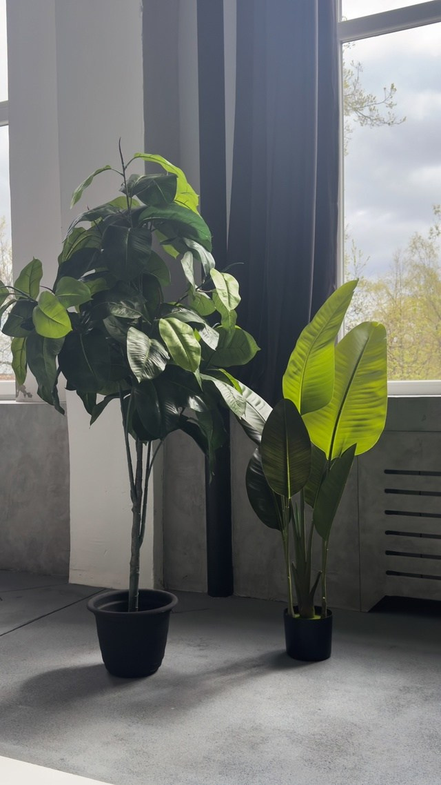 Все фотостудии в Твери. Свадебный и семейный фотограф в Твери и Тверской области