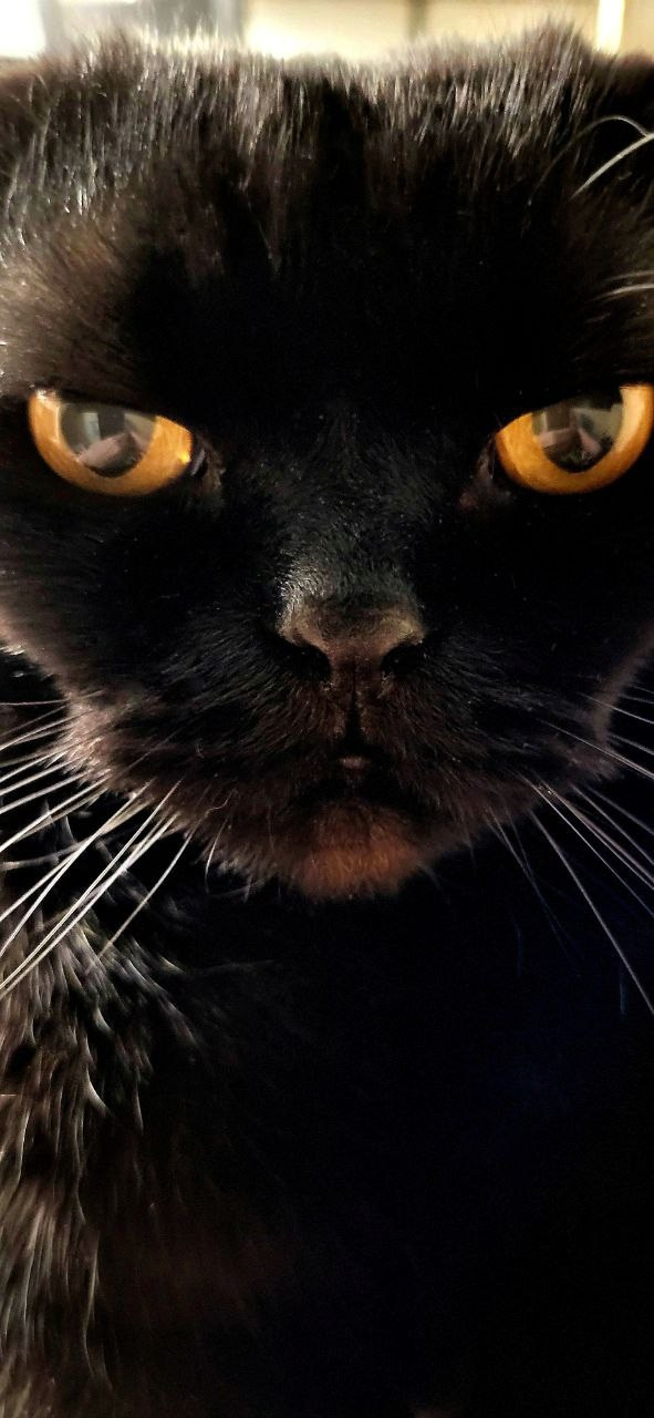 Проект «366»|2024|Фото каждый день. LENA GRACE photographer ||ЛЕНА ГРЭЙС фотограф