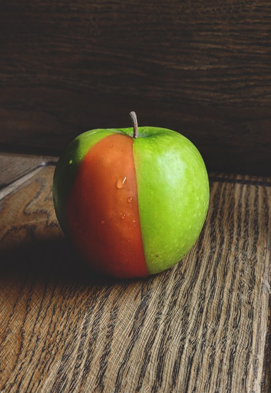 Проект «366»|2024|Фото каждый день. LENA GRACE photographer ||ЛЕНА ГРЭЙС фотограф