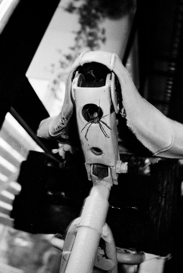 Документальный проект с фотографиями. Рекламный и коммерческий фотограф | Георгий Романов