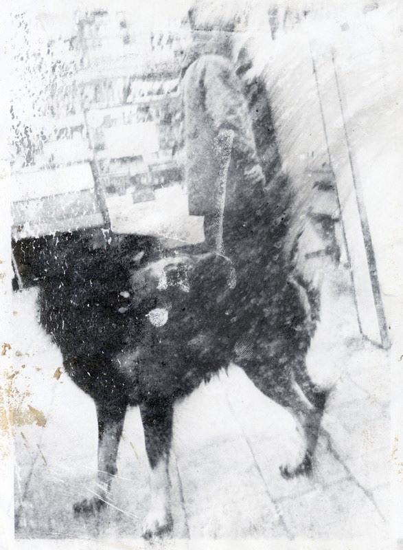 Город, в котором меня нет. Рекламный и коммерческий фотограф | Георгий Романов