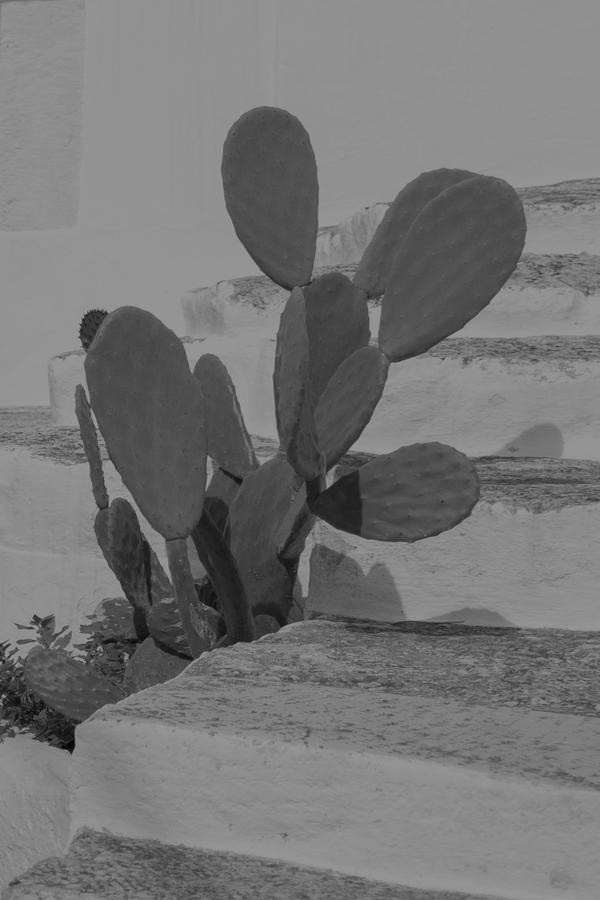 Проект Розы Лакавалла (Rosa Lacavalla) «Sana Sana». Private image