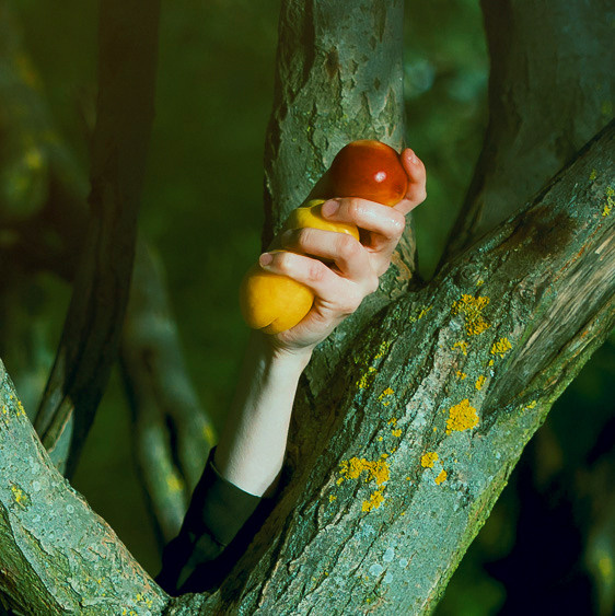 Фотосессия в стиле прерафаэлитов с персиком от AV