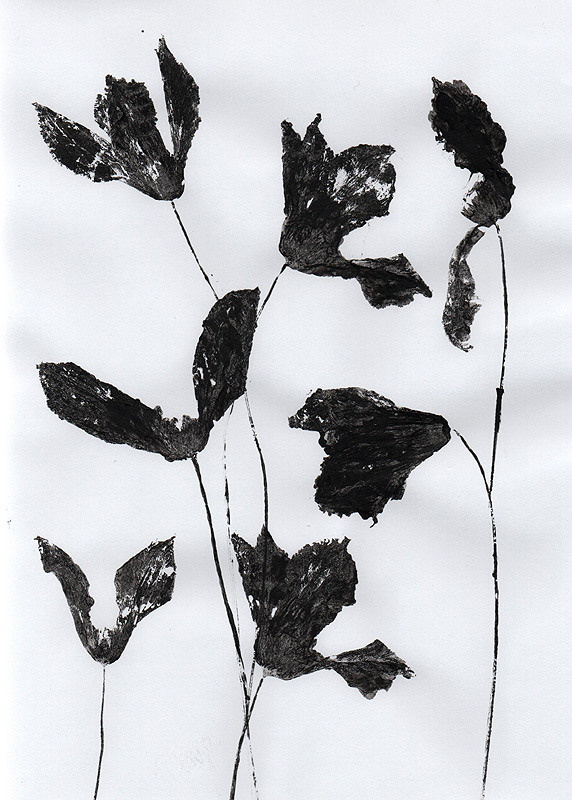 Ботанический принт клематисы (фитопринт, zen art print) - отпечаток растения на бумаге в свободной манере, отсылает к каллиграфии, к рисованию в состоянии дзен.