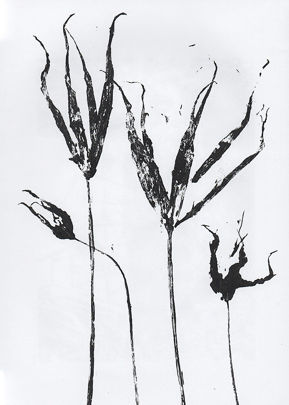 Ботанический принт тюльпаны (фитопринт, zen art print) - отпечаток растения на бумаге в свободной манере, отсылает к каллиграфии, к рисованию в состоянии дзен.