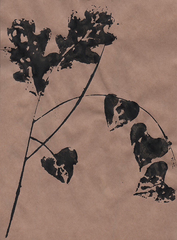 Ботанический принт (фитопринт, zen art print) - отпечаток растения на бумаге в свободной манере, отсылает к каллиграфии, к рисованию в состоянии дзен.