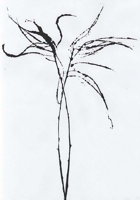 Ботанический принт (фитопринт, zen art print) - отпечаток растения на бумаге в свободной манере, отсылает к каллиграфии, к рисованию в состоянии дзен.