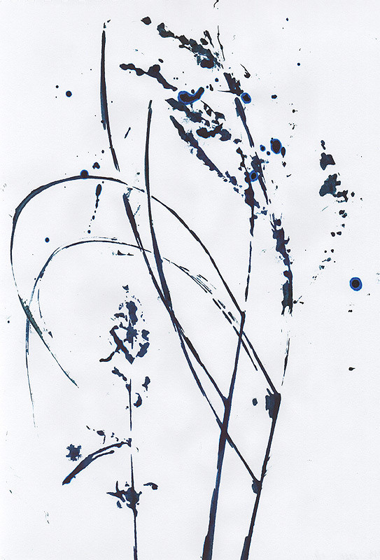 Ботанический принт (фитопринт, zen art print) - отпечаток растения на бумаге в свободной манере, отсылает к каллиграфии, к рисованию в состоянии дзен.