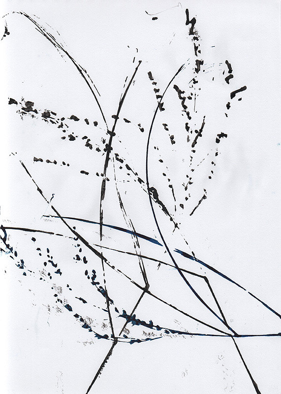 Ботанический принт (фитопринт, zen art print) - отпечаток растения на бумаге в свободной манере, отсылает к каллиграфии, к рисованию в состоянии дзен.