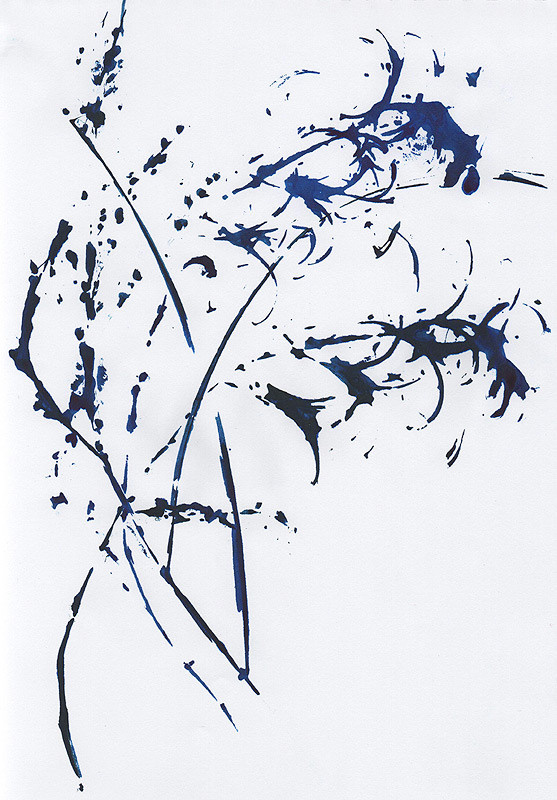 Ботанический принт (фитопринт, zen art print) - отпечаток растения на бумаге в свободной манере, отсылает к каллиграфии, к рисованию в состоянии дзен.